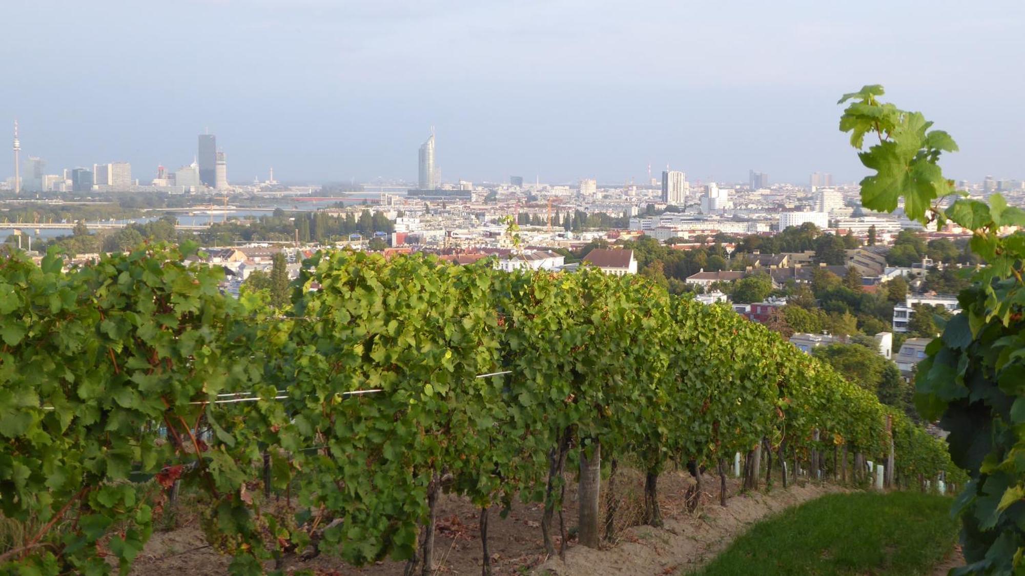 Wohnen Im Schoensten Viertel Wiens Bagian luar foto